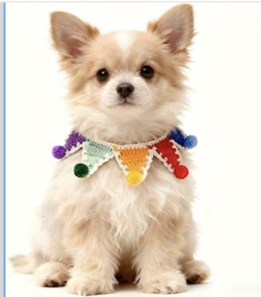Hand Knitted Rainbow Dog Bandanas